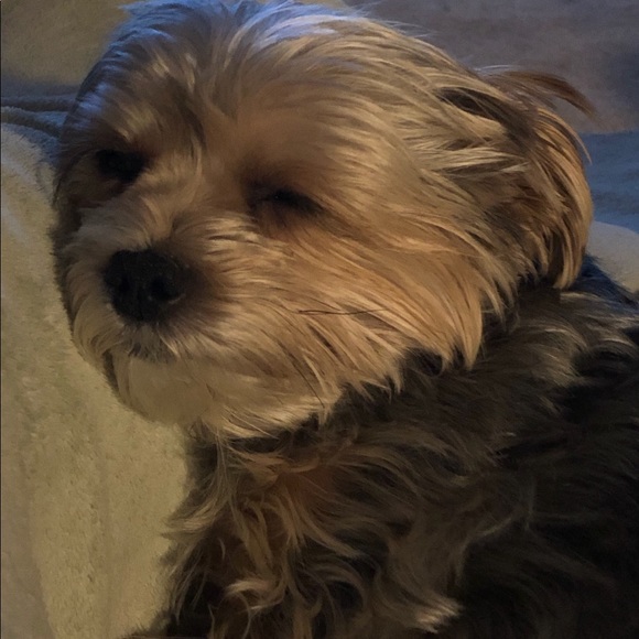 Meet your Posher, Angie - Picture 9 of 13